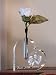 Personalized Heart Photo Vase