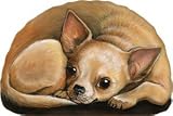 Fiddler's Elbow Chihuahua Pupper Weight