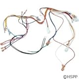 Hayward IDXLWHM1930 240-Volt Main Wire Harness Replacement for Hayward H-Series Low Nox Induced Draft Heater