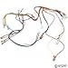 Hayward IDXLWHM1930 240-Volt Main Wire Harness Replacement for Hayward H-Series Low Nox Induced Draft Heater