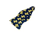 Michigan Bow Tie - University of Michigan Blue Hand-Tied Bow Tie with M Logo
