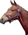 Halter Pagony Elite - Shetland Navy