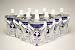 H4O PET Science Water  100ml×10本