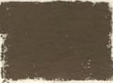 Polychromos Pastel- 175 Dark Sepia