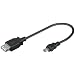 Wentronic USB-Adapter (A-Buchse auf 5 polig mini B-Stecker) 0,20m