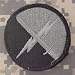 1st Information Operations Command ACU Patch Foliage Green