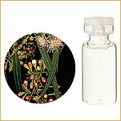 【生活の木】ユーカリ・シトリオドラ（レモンユーカリ） 10mL