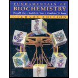 Fundamentals of Biochemistry, Upgrade Text Only by  Donald Voet