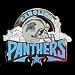 Glossy NFL Team Pin - Carolina Panthers