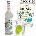 Monin Syrup - Frosted Mint