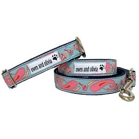 Owen & Olivia Designer Dog Collar - Aqua & Pink Paisley (Medium)