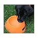 Collapsible Dog Bowls 31UgSUOVZ0L. SL75 Collapsible Dog Bowls