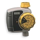 WATERTIMER,6 CYCLE Westward 1HLW8
