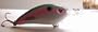 Excalibur Fat Free Fingerling TroutColor
