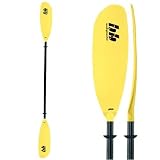 Bending Branches Glide Glass Telescoping Paddle