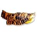 Golden Pheasant Tippets Feathers Fly Tying Materials