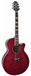 Jasmine ES450C NEX Cutaway Acoustic-Electric Guitar with Free Hardshell Case - Red Quilt