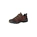 Jack Wolfskin Traction Schuh Herren, braun/gelb