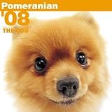THE DOGポメラニアン 2008年カレンダー