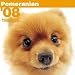 THE DOG�|�����j�A�� 2008�N�J�����_�[