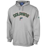 Miami Dolphins Pumped Up Hoodie, Large