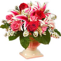 Roses - Americana(New Year Offer: Free Shipping)