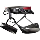Arc'teryx R320 Rock Climbing Harness - Men's