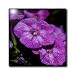 Garden Laura Phlox Flowers Dark Pink Flowers - 6 Inch Ceramic Tile