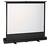 Epson America Inc