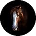 Horse #8 Spare Tire Cover