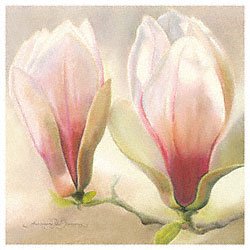 Eurographics APJ1534 Hochwertiger Kunstdruck, Annemarie Peter-Jaumann, Magnolia Soulangian im Preisvergleich 