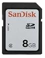 SanDisk 8 GB Class 2 SDHC Flash Memory Card SDSDB-8192 (Bulk Packaging)