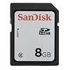 SanDisk 8 GB Class 2 SDHC Flash Memory Card SDSDB-8192 (Bulk Packaging)