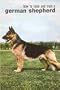 How to Raise and Train a German Shepherd (How to Raise & Train)