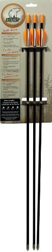Bear Archery Youth Safetyglass Target Arrows (3 per card)