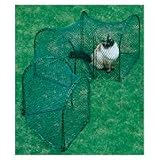 Green Set of 4 Kittywalk Curves for Cats