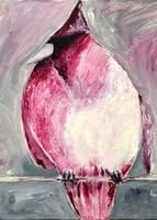 Puffed Up PhotoArt Anywhere Movable Fine Wall Art Red Cardinal by Martin Zgodinski 16x20