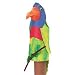 Cone Parrot Craft Kit (Makes 12)
