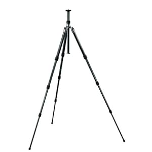 Gitzo GT1544T Traveler Tripod (Black); manu. price = $739.88