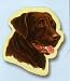labrador33  - Chocolate Lab Labrador Sticky Notes