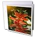 SmudgeArt Fractalius Flower Designs - Christmas Cactus - Greeting Cards-12 Greeting Cards with envelopes