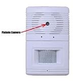 Streetwise Security Hidden Camera: Motion Detector