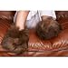 Alpaca Fur Slippers - Dark Brown - XLarge (Dark Brown) (4
