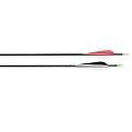Allen Hybrid Carbon Arrows