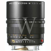 Leica 75mm f/2 Summicron-M Aspherical Manual Focus Lens for M System (11637)