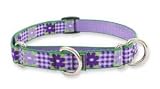 Lupine Medium Martingale Style Dog Collar - Picnic Basket 14-20