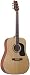 Washburn D10SOV Acoustic Guitar (Ovangkol)