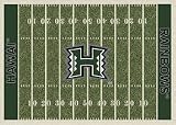 Hawaii Rainbow Warriors 7 8 x 10 9 NCAA Home Field Area Rug