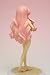 Zero No Tsukaima: Louise Swimsuit Ver. PVC Figure 1/10 Scale_s-4