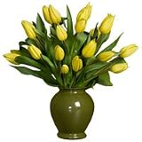 Tulip - Twist of Lemon